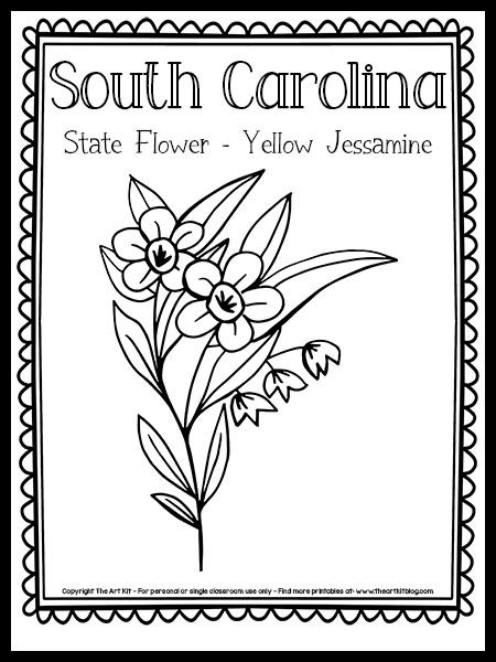 Yellow Jessamine Drawing, South Carolina Printable Free, South Carolina State Symbols, South Carolina Drawing, South Carolina Tattoo Ideas, South Carolina State Flower, South Carolina Tattoo, Trip Tattoo, Yellow Jessamine