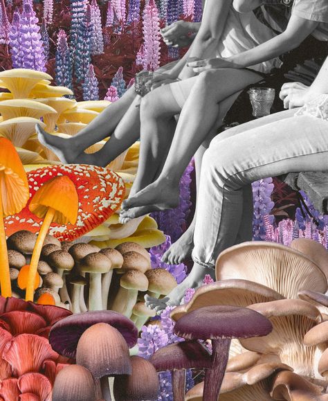 The Rise Of The Mushroom Moms Mushroom Tripping Art, Mushroom Collage, Mushroom Trip, Psychoactive Plants, Psilocybin Mushrooms, Licensed Clinical Social Worker, Call Mom, The Mushroom, Secret Life