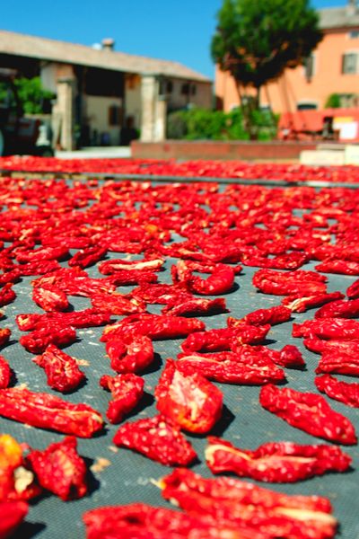 How To Make Sun Dried Tomatoes - Old World Garden Farms Dehydrating Tomatoes, Make Sun Dried Tomatoes, Oven Dried Tomatoes, Cherry Tomato Plant, Sun Dried Tomato Sauce, Tomato Pesto, Party Dishes, Sun Dried Tomatoes, Ripe Tomatoes