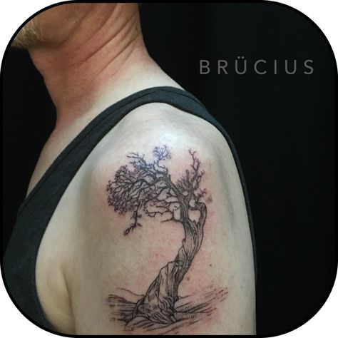 #BRUCIUS #TATTOO #SanFrancisco #bayareatattoo  #sciencetattoo #engravingtattoo #etchingtattoo #sculptoroflines #dotwork #blackwork #blackworkartist #blacktattoomag #blacktattooing #ink #penandink #linespecialist  #Tree #bristlecone #pine