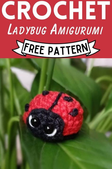 Amigurumi Creatures, Crochet Lily, Yarn Projects Crochet, Crochet Ladybug, Keychain Tutorial, Spring Feeling, Crochet Dragon Pattern, Crochet Headband Pattern Free, Crochet Panda