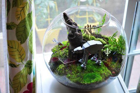 Terrarium & Timmy: terrarium Star Wars Terrarium, Star Wars Bathroom, Star Wars Bedroom, Star Wars Wedding Theme, Terrarium Centerpiece, Star Wars Jewelry, Star Wars Crafts, Star Wars Room, Movie Decor