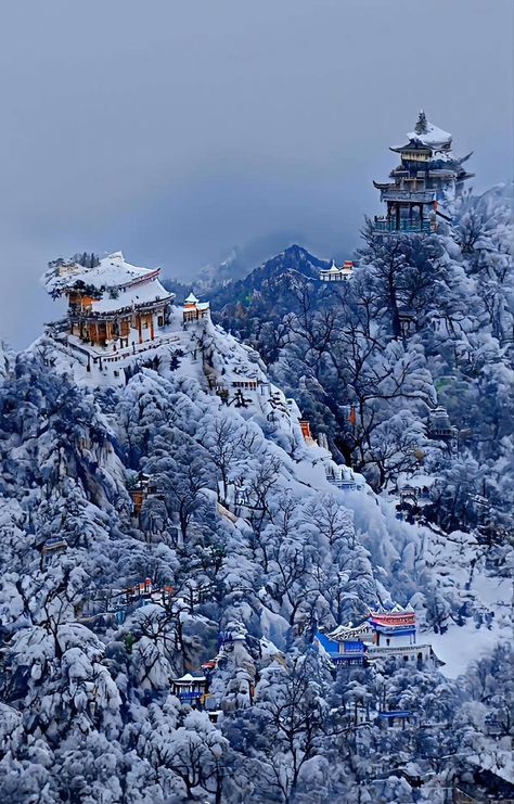 Laojun Mountain, Beautiful Photos Of Nature, Nature Photos, Beautiful Photo, Winter Wonderland, Flowers, Animals, Nature