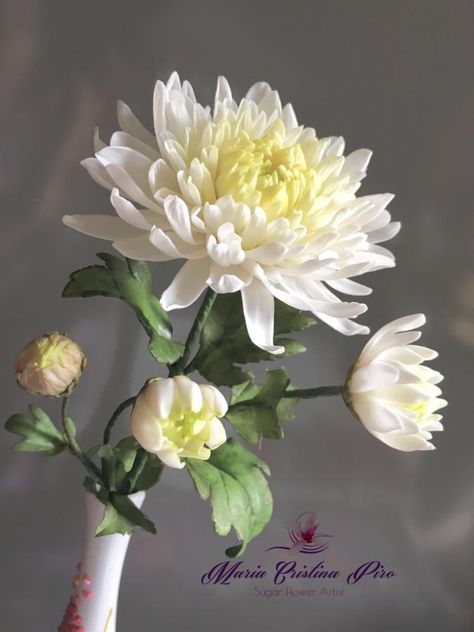 Fondant Flower Tutorial, Japanese Chrysanthemum, White Chrysanthemum, Desert Flowers, Gum Paste Flowers, Fondant Flowers, Chrysanthemum Flower, Japanese Flowers, Porcelain Flowers