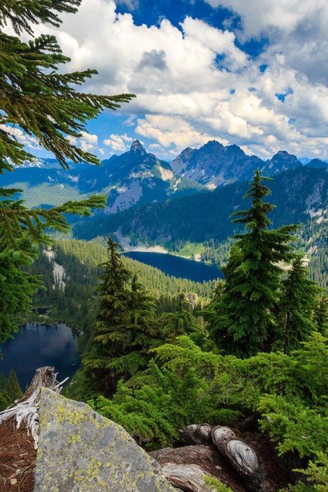 12 Most Beautiful Places In Washington That Will Blow Your Mind: Nature City, Washington Travel, Matka Natura, Evergreen State, Scenic View, Twin Peaks, Awesome Things, Alam Yang Indah, Beautiful Places To Visit