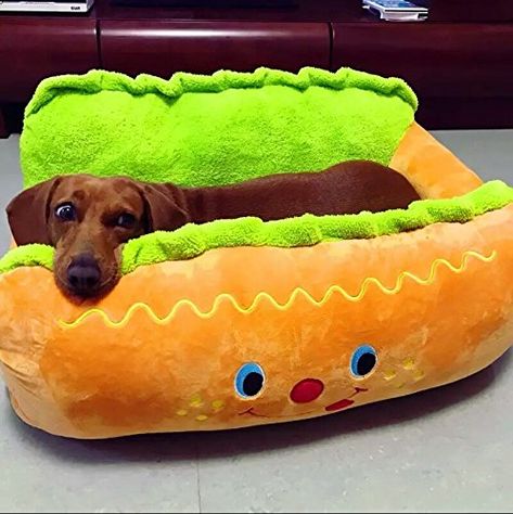 Dachshund Bed, Cute Dog Beds, Cat Couch, Pet Sofa, Mini Dachshund, Dog Sofa, Dachshund Lovers, Dog Pet Beds, Sausage Dog