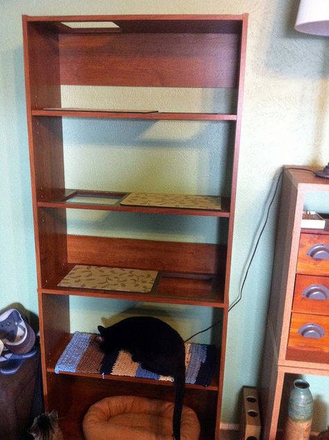 We got a cheap bookcase and cut holes in the shelves, so the cats can get up and down without attaching shelves to the wall. Homemade Cat Shelf, Bookshelf Cat Tree, Cat Book Shelves, Book Shelf For Cats, Cat Tower From Book Shelf, Picture Frame Cat Shelf, Diy Cat Tower, Cat Climber, Diy Cat Tree