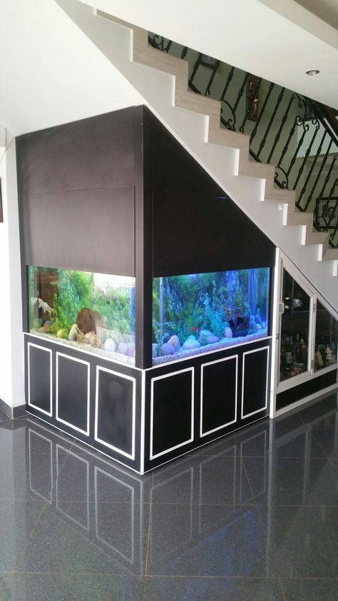 An aquarium fish tank under stairs , just contact Aquapetug on +256775579049,+256752636369 Understairs Aquarium, Under Stairs Aquarium, Fish Tank House Interior Design, Staircase Aquarium, Aquarium Placement, Koi Aquarium, Piano Fish Tank Aquarium, Large Home Aquarium, Best Handheld Vacuum