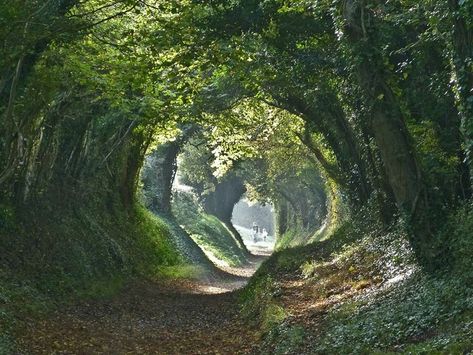 Mill Lane - the path to Halnaker Windmill from Halnaker - near Chichester Sussex UK Roman Roads, Nature Play, Beneath The Surface, Scenic Routes, English Countryside, How To Level Ground, The Road, Beautiful Places, England