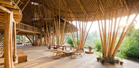 bamboo architecture Green School Bali, Casas Country, Bamboo Building, Schools Around The World, Jungle House, Bamboo Structure, Bamboo Architecture, Bamboo Construction, Green School