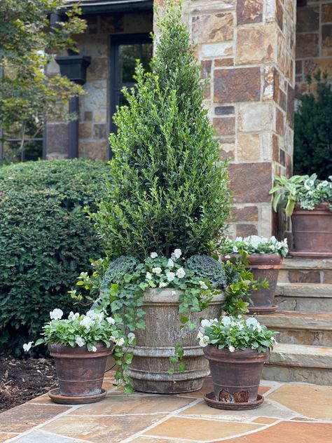 European Landscaping Front Yard, Pots For Front Door Entrance, Outdoor Pots And Planters Inspiration, Planters With Evergreens, Porch Topiary Ideas, Topiary Pots Entrance, Plants In Urns Front Doors, Boxwood Potted Plant, Summer Containers Planters