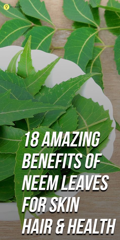 Neem leaves have been a part of granny's treatments for skin hair & health for a long time. Here are the 18 benefits of neem leaves for hair, skin ... Neem Leaves For Hair, Neem Leaves For Skin, Neem Leaf Benefits, Neem Benefits, Benefits Of Neem, Neem Leaves, Herbal Plants, Cold Sores Remedies, Natural Cold Remedies