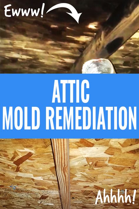 Attic Flooring Diy, Removing Mold From Bathroom Ceiling, Air Sealing Attic, Attic Crawl Space Door, Attic Clean Up, Finishing An Attic, Best Mold Remover, Attic Vents, Flooded House