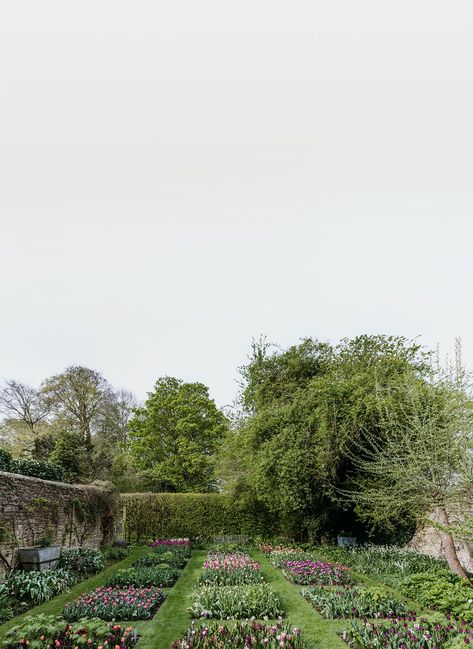 Arne Maynard, Oxfordshire England, Backyard Garden Layout, Herbaceous Border, London Garden, English Country Gardens, Cut Flower Garden, Spring Bulbs, Garden Layout