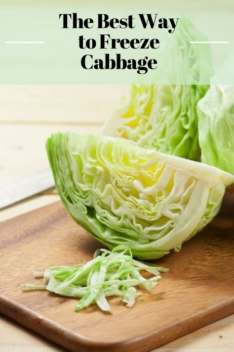 Cabbage, a versatile and nutritious vegetable, can be a staple in many households. Yet, preserving its freshness and flavor becomes a real challenge. Freezing cabbage is a fantastic solution for those looking to store it for an extended period without compromising its taste or texture. This article will explain the best way to freeze cabbage and ensure your greens maintain their quality over time. Can You Freeze Cabbage, Freezing Cabbage, Canning Cabbage, Freeze Vegetables, Freezing Food Guide, Casserole To Freeze, Raw Cabbage, Freezing Vegetables, Cabbage And Sausage