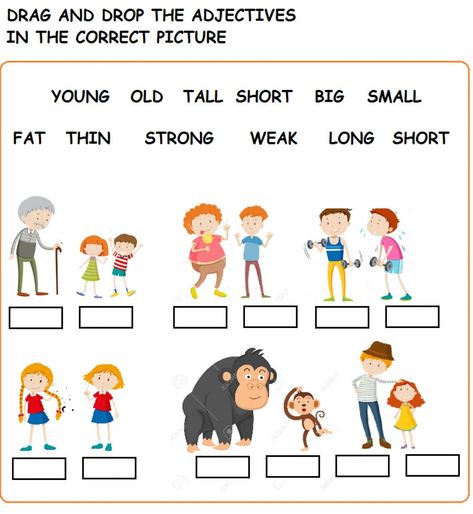 Opposite Adjectives Worksheets, Vocabulary Worksheets Elementary, Adjectives Worksheet For Grade 1, Describing People Worksheet, Adjective Activities, Comparative Adjectives Worksheet, Adjectives For Kids, Opposite Words For Kids, Adjectives To Describe People