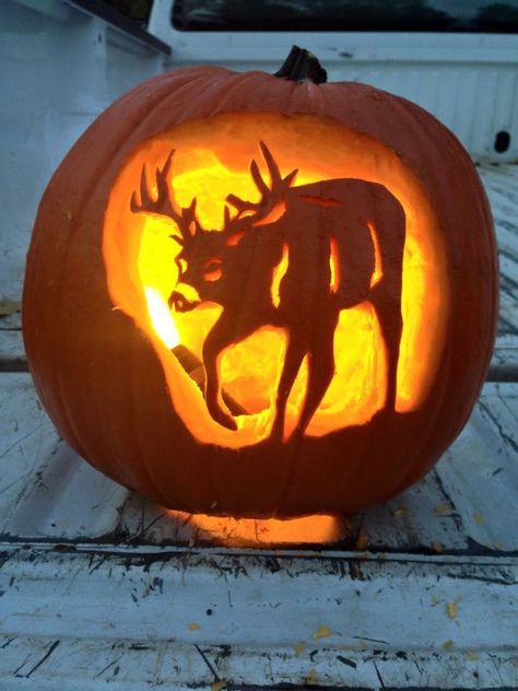 Pumpkin Carving Deer Ideas, Pumpkin Carving Ideas Deer, Deer Pumpkin Carving Ideas, Hunting Pumpkin Carving, Deer Pumpkin Carving, Deer Pumpkin, Pumkin Carving, Pumpkin Carving Contest, Amazing Pumpkin Carving