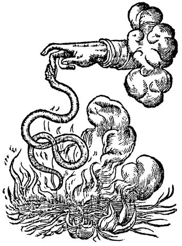 snake/hand/clouds Claude Paradin, Woodcut Tattoo, Medieval Tattoo, Engraving Tattoo, Medieval Drawings, Snake Drawing, Medieval Artwork, Esoteric Art, Occult Art