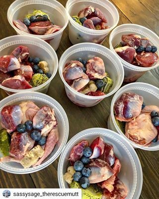 Raw Meals For Dogs, Raw Diet For Puppies, Puppy Raw Food Diet, Feeding Dogs Raw, Raw Dog Food Meal Prep, Raw Dog Food Diet For Beginners, Raw Diet For Dogs Beginner, Raw Food Diet For Dogs Beginner, Dog Food Prep