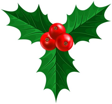 Christmas Clip Art Free, Holly Leaf Illustration, Christmas Holly Illustration, Christmas Holly Clipart, Holly Pattern Christmas, Holly Leaves And Berries Painting, Christmas Leaf, Holly Images, Candy Kabobs