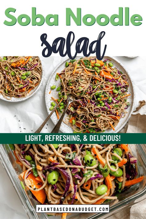 Enjoy this colorful 20-minute Soba Noodle Salad for a healthy lunch or light dinner! It’s easy to make by tossing soba noodles and a medley of vegetables in the most amazing vegan peanut sauce. Peanut Soba Noodle Recipe, Peanut Sauce Soba Noodles, Soba Noodle Recipe Healthy, Healthy Soba Noodles, Peanut Soba Noodles, Soba Noodle Recipe, Cold Peanut Noodles, Vegan Peanut Sauce, Soba Noodles Soup