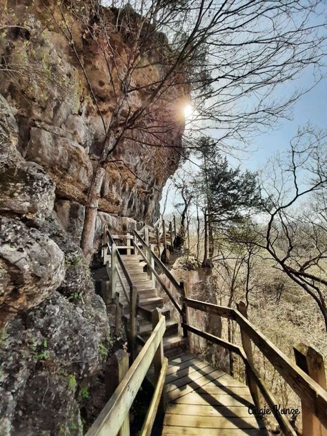 stairs on spring trail at ha ha tonka state park missouri, https://www.werenotinkansasanymore.com/ha-ha-tonka-state-park-recommended-hiking-trail-combinations-general-park-visitor-information/ Lake Ozark Missouri, Ha Ha Tonka State Park, Kansas Attractions, Missouri Hiking, Branson Missouri Vacation, Ha Ha Tonka, Missouri State Parks, Missouri Travel, Oklahoma Travel