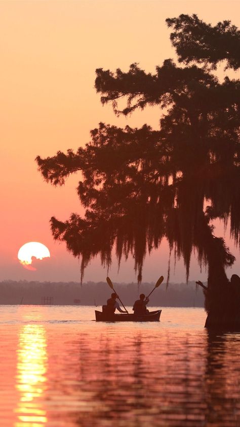 Things To Do In Louisiana, Louisiana Photography, 50 States Travel, Watch The Sunrise, Ideas For Fun, Louisiana Travel, Summer Travel Destinations, Us Road Trip, Different Art Styles