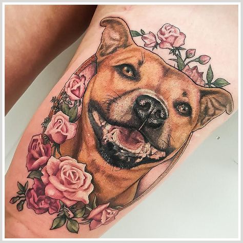 Dog Tattoo - No idea where to start looking for the correct solution for your needs? Look no further, check out Amazon for everything you need. Bull Terrier Tattoo, Dog Portrait Tattoo, Puppy Tattoo, Pitbull Tattoo, Dog Memorial Tattoos, Framed Tattoo, Ancient Tattoo, Paw Tattoo, Butterfly Tattoos