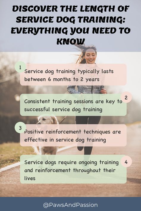 👟 Learn all about the duration of service dog training! Find out how long is service dog training and what goes into preparing these amazing working dogs. Read more here. #ServiceDogTraining #DogTraining #ServiceDogs #TrainingTimeline #DogTips 👟 Service Dog Training, House Training Dogs, Food Homemade, Behavior Modification, Leash Training, Healthy Dog Food Recipes, Service Dog, Homemade Dog Food, Obedience Training