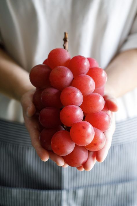 Ruby Roman grapes are red, delicious and beautiful — but they’re most famous for their astounding price (some selling for about $10,000 USD a bunch)! These aren’t just any grapes, though. They’re rare — and only grown in Japan. This article will tell you all about Ruby Roman grapes, why they’re so expensive and more. Ruby Roman Grapes, Grapes Photography, Roman Food, Backyard Pool Landscaping, Fruit Photography, Cute Food Art, Red Grapes, Sweet Delights, Precious Jewels