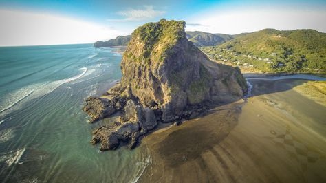 Piha Beach, Turned To Stone, Beach New Zealand, Nephilim Giants, Star Fort, Phantom 2, Turn To Stone, Cute Blue Wallpaper, Giant Tree