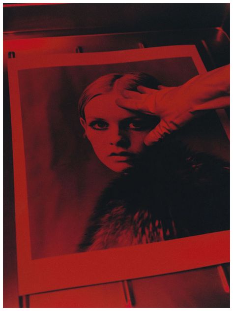 “Lord Snowdon” by Koto Bolofo, Working on the Twiggy print in the dark room Lord Snowdon, Dark Room Photography, The Sartorialist, David Bailey, Senior Project, Diana Vreeland, Red Rooms, Snowdonia, Ex Machina