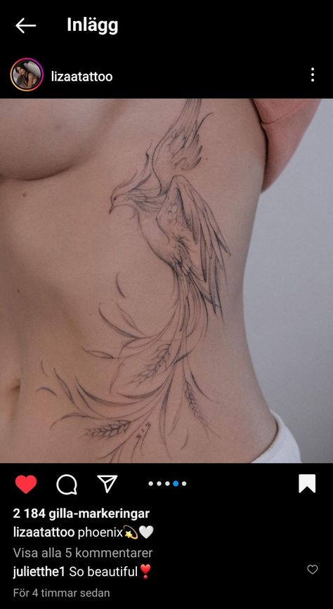 Fenix Tattoo, Phoenix Drawing, Small Phoenix Tattoos, Tattoo Arm, Phoenix Tattoo, Inspirational Tattoos, Arm Tattoo, Tattoos For Women, Tatting