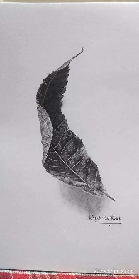 Leaf Drawing Pencil, Leaf Pencil Drawing, Leaf Sketch, Maple Leaf Art, Leaves Sketch, Shading Drawing, Realistic Sketch, Gcse Art Sketchbook, Beautiful Flower Drawings