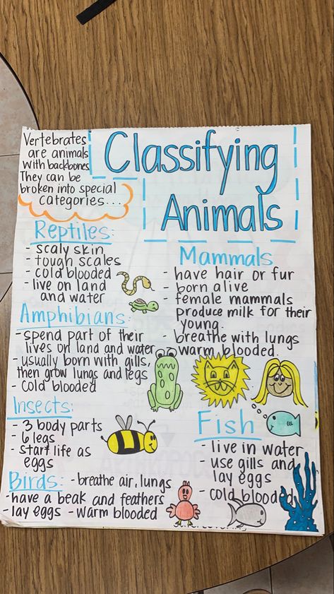 Science Chart, Earth Science Lessons, Science Anchor Charts, Animal Classification, Classroom Anchor Charts, Elementary Learning, 4th Grade Science, Homeschool Education, 5th Grade Science