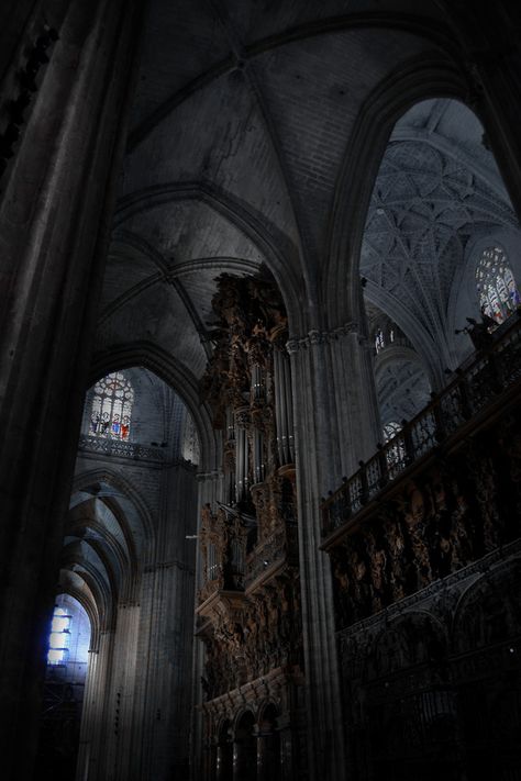 Dark Academia Goth Castle, Goth Architecture, Church Aesthetic, Dark Castle, Gothic Cathedrals, Gothic Church, Cathedral Church, Gothic Aesthetic, Dark Academia Aesthetic