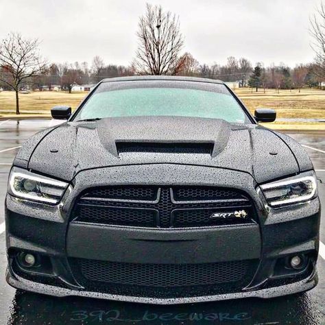 2014 Dodge Charger Srt8, 2014 Charger, Dodge Charger Srt8, Charger Srt8, Dodge Charger Sxt, Dodge Chargers, Aesthetic Cars, Dodge Cars, 2014 Dodge Charger