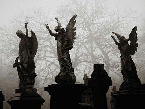 Angel Aesthetic, City Of Bones, Gothic Aesthetic, Dark Angel, Non Fiction, Pics Art, White Aesthetic, Graveyard, Black Aesthetic