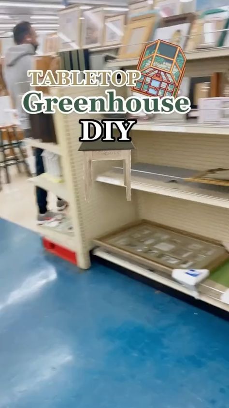 Small Porch Greenhouse, Homemade Indoor Greenhouse, Diy Indoor Greenhouse Small Spaces, Small Green House Interior Ideas, Diy Greenhouse Cheap Easy Small, Diy Small Greenhouse Cheap, Small Indoor Greenhouse, Table Top Greenhouse, Indoor Greenhouse Room