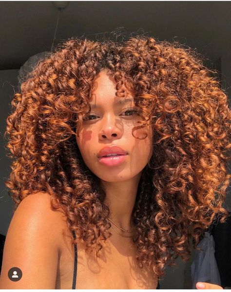 Blond Rose, Dyed Curly Hair, Highlights Curly Hair, Colored Curly Hair, Dyed Natural Hair, Curly Hair Inspiration, Curly Girl Hairstyles, Curly Hair Tips, Hair Inspo Color