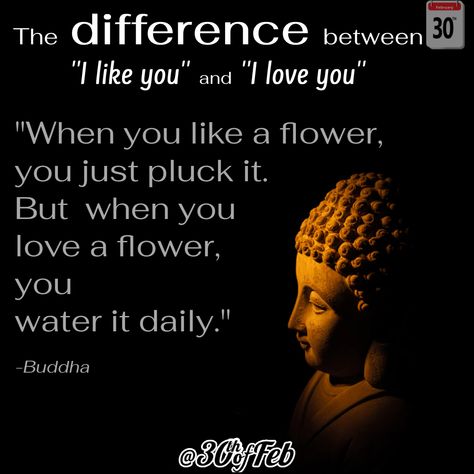 The difference between "I like you" and "I love you". If you understand this, you understand life! #buddha #quote #30thofFeb Quotes About Attachment, And I Love You, Gautama Buddha, Buddha Quote, Buddha Quotes, S Quote, I Like You, When You Love, Motivational Quotes For Life