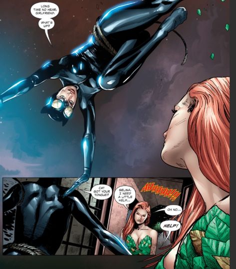 Catwoman And Poison Ivy, Poison Ivy And Catwoman, Poison Ivy Art, Catwoman Comics, Poison Ivy 2, Poison Ivy Comic, Selina Kyle, Cycle Of Life, Dc Characters