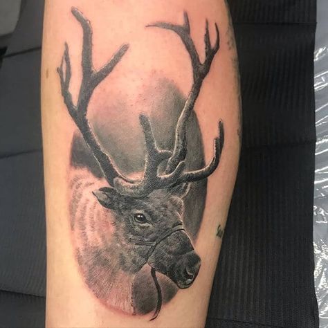 15+ Best Reindeer Tattoo Designs and Ideas Reindeer Tattoo Design, Reindeer Tattoo, Trible Tattoos, Christmas Tattoo, Reindeer Decorations, Tattoo Design Ideas, 50 Christmas, Great Tattoos, Tree Tattoo