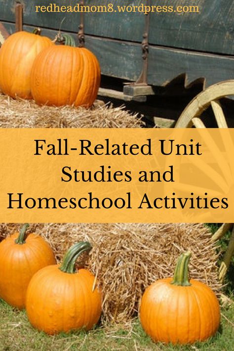 Homeschooling 3rd Grade, Homeschool Fall Activities, Unit Studies Homeschool, Homeschool Elementary, Homeschool Education, Autumn Activities For Kids, Unit Studies, Mackenzie Ziegler, Homeschool Kindergarten