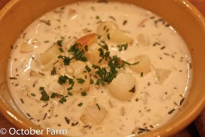 Scallop Chowder, No Rise Bread, Sea Scallops, Scallop Recipes, Scallops Seared, Clam Chowder, Chowder Recipes, Soup And Sandwich, Garden Center