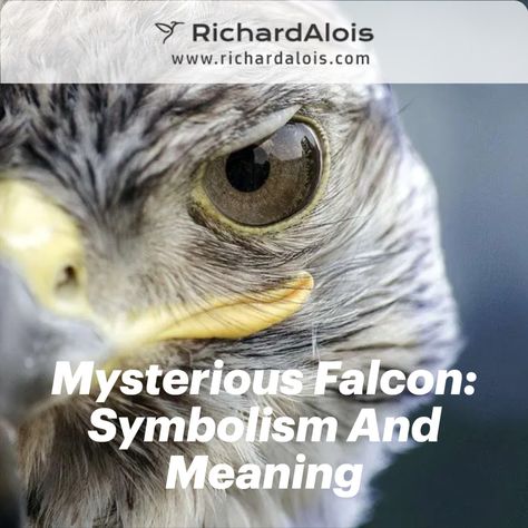 The falcon has a long history of being associated with many different cultures. The meaning of the Falcon symbol can vary depending on the culture it is connected to, but there are some common themes that you will find in most cultures. Eagle Symbolism Meaning, Falcon Symbolism, Hawk Spiritual Meaning, Native American Zodiac Falcon, Hawk Symbolism, Common Themes, Ancient Symbols, Wise Quotes, Meant To Be