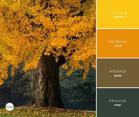 Brown Contrast Color Schemes, Color Palette Canva, Vintage Colour Palette, Website Color Palette, Color Plan, Using Canva, Color Pallete, Harvest Gold, Simple Designs To Draw