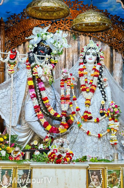 Radha Krishna Wallpaper Iskon Temple, Iscon Temple Radha Krishna, Phone Case Diy Paint, Radhe Shyam, Radha Painting, Sanatan Dharma, Hindu Dharma, Good Morning Roses, God Images