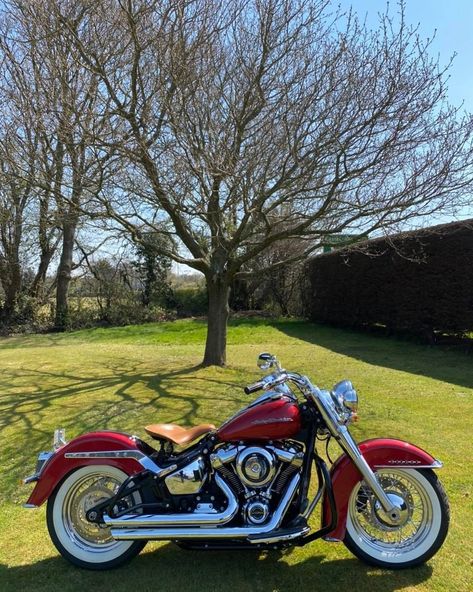 Sykes Harley-Davidson on Instagram: “The Bike Of The Day 2019 Softail Deluxe in two tone Wicked Red & Twisted Cherry This stunning Softail Deluxe comes to us fitted with a…” Vintage Harley Davidson Aesthetic, Hardly Davidson, Red Harley Davidson, Harley Softail Deluxe, Pose Stock, Moto Harley Davidson, Harley Davidson Softail, Motos Vintage, Red Motorcycle