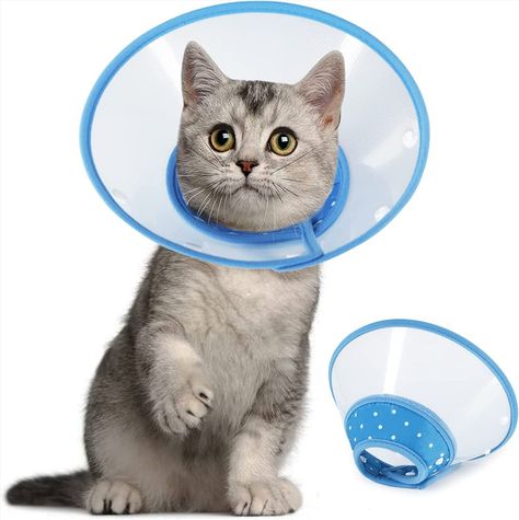 https://amzn.to/3DlwJcK Fancy Collar, Flower Cat Collar, Dog Cone, Elizabethan Collar, Small Kittens, Fancy Dog, Designer Dog Collars, Real Dog, Cat Stands